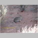 20060818_Canyonland_004 copia.jpg